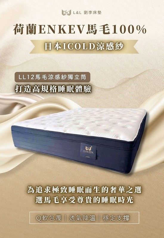 劉李床墊-床墊款式系列 (7)